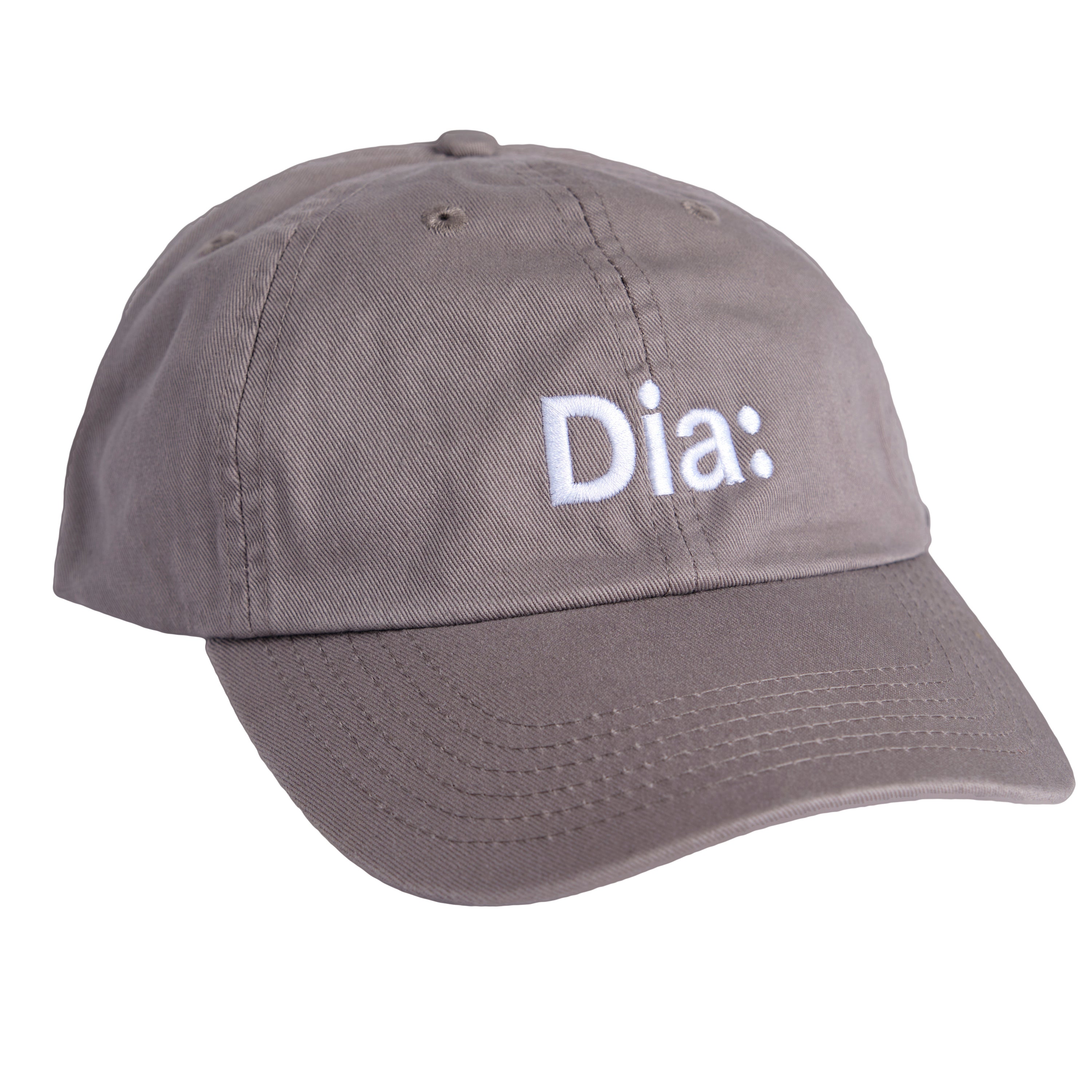 vichetheviking様museum cap diabeacon Dia: Hat - Grey | Dia Art Foundation Bookshops