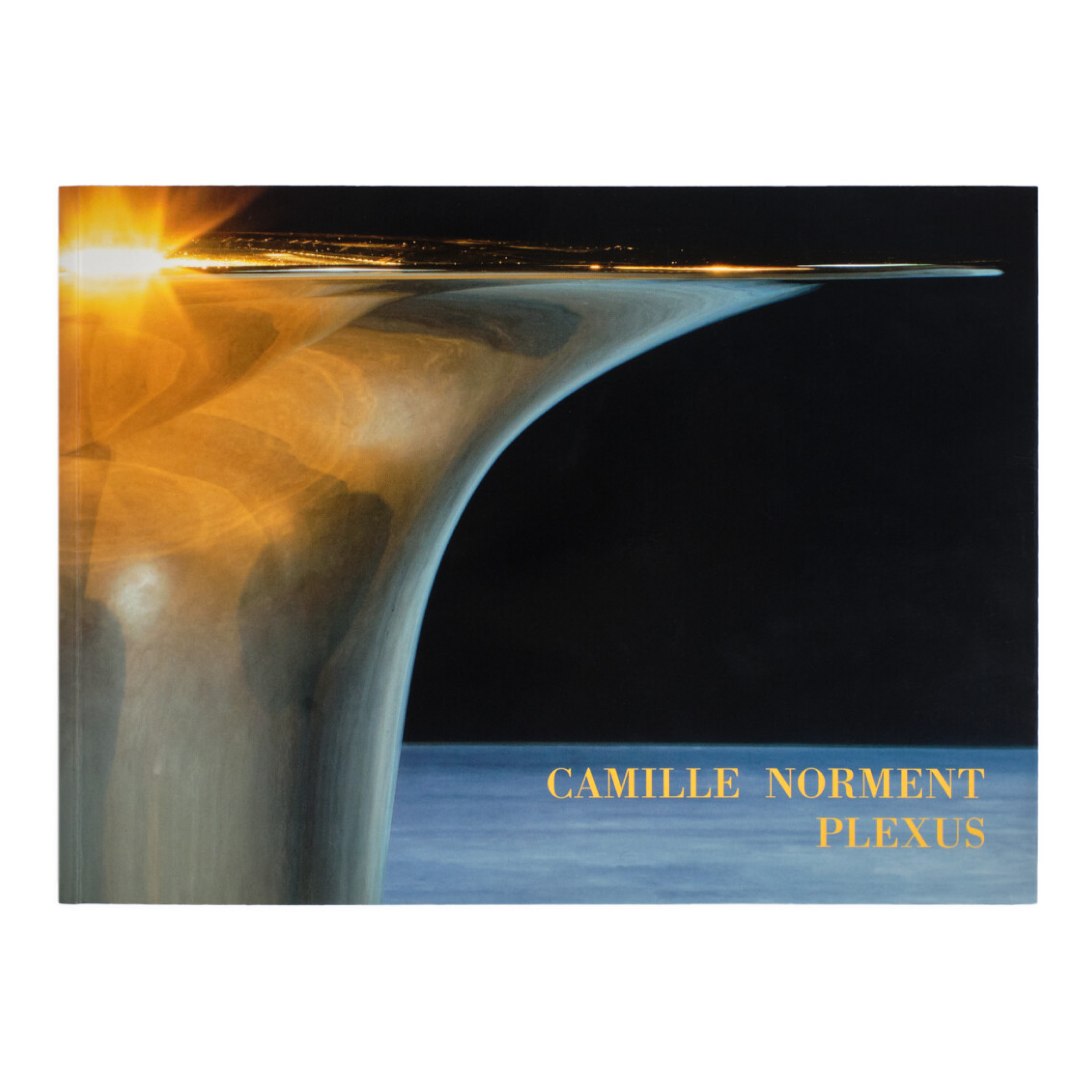 Camille Norment: Plexus | Dia Art Foundation Shop